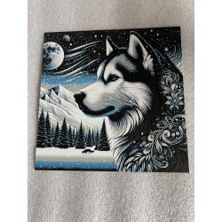 Husky unter Sternenhimmel