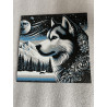 Husky unter Sternenhimmel Husky unter Sternenhimmel