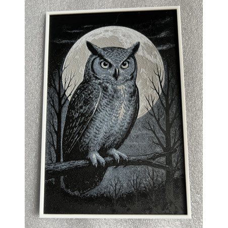 Wächter der Nacht – Eule im Mondlicht