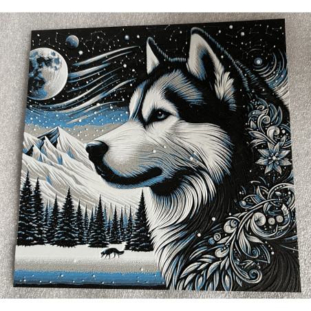 Husky unter Sternenhimmel – 3D Wandbild