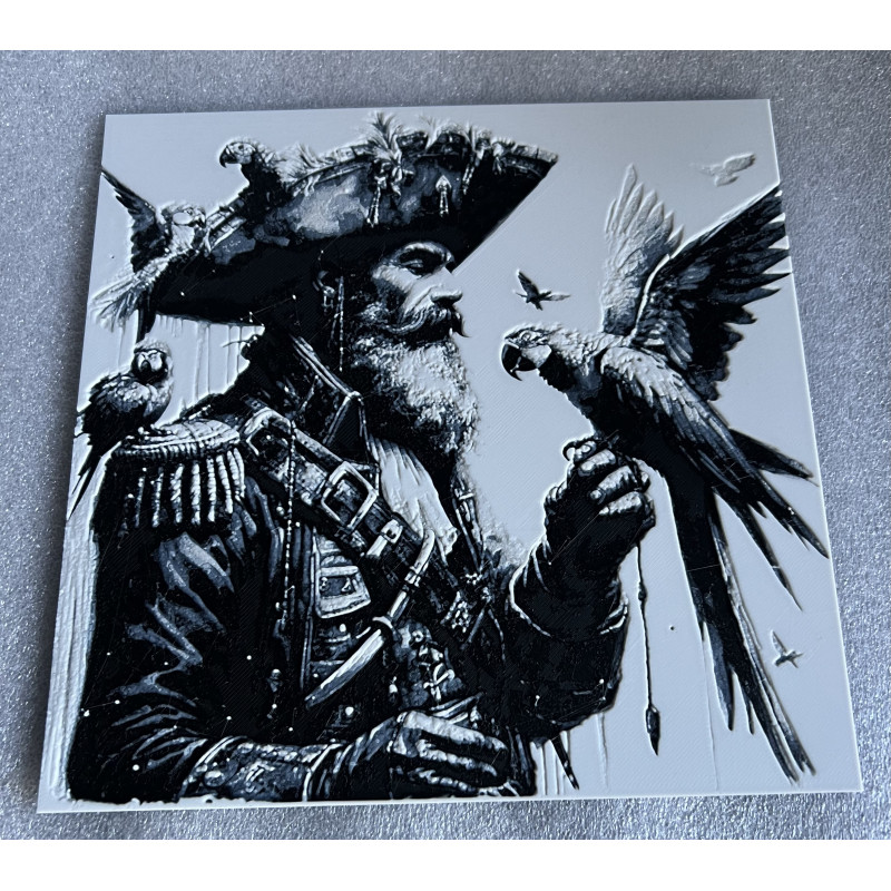 Der Admiral der Lüfte – Pirat mit Papageien in 3D