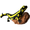 Salamander Dekofigur mit 3-farbigem Druck online kaufen