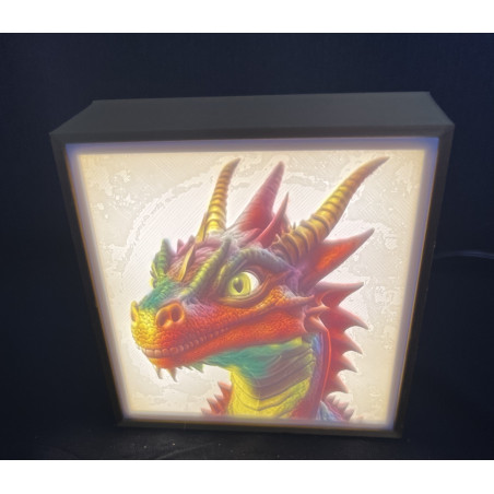 Farblithobox 1 Bild – personalisierte LED-Leuchte