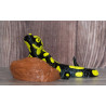 Salamander Statue mit 3-farbigem Druck