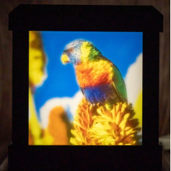 Farblithobox 1 Bild – personalisierte LED-Leuchte