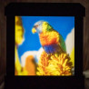 Farblithobox 1 Bild – personalisierte LED-Leuchte